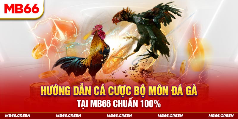 6686 kết quả xổ số miền bắc ngày hôm nay