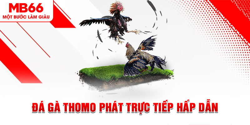 6686 xổ số thứ tư