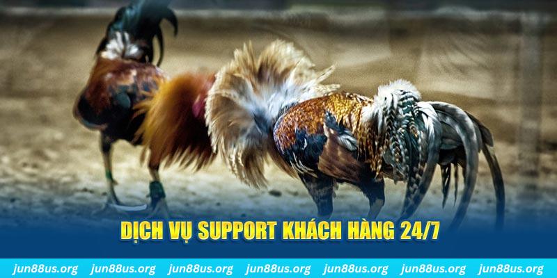 6686 game xếp bài trên máy tính