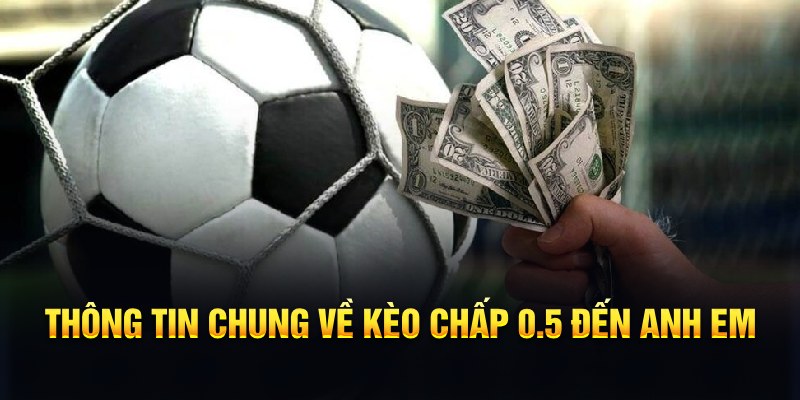 6686 nổ hũ b29 là gì