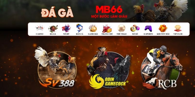 6686 what is casino bonus wagering