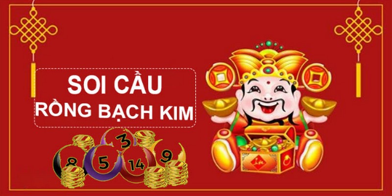 6686 gà chọi