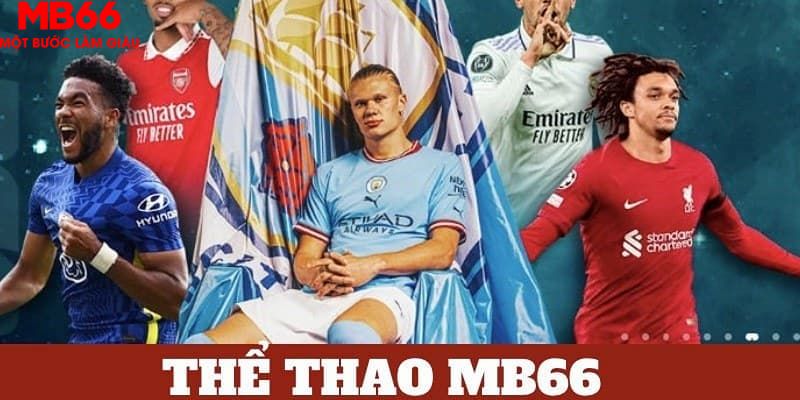 6686 bản tình ca mùa đông
