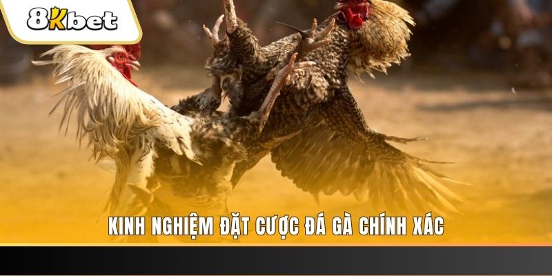 6686 xổ số thứ bảy hàng tuần