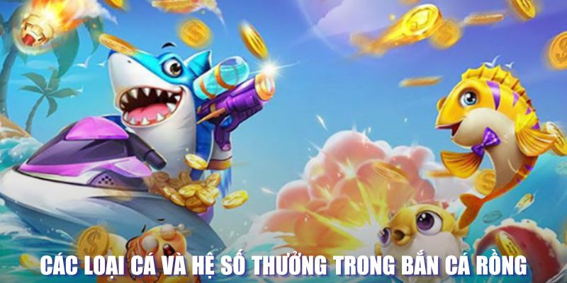 6686 đăng nhập lô đề tặng tiền