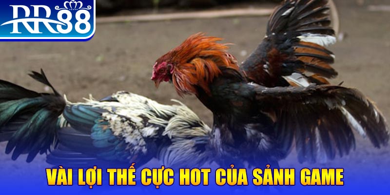 6686 xổ số quảng nam
