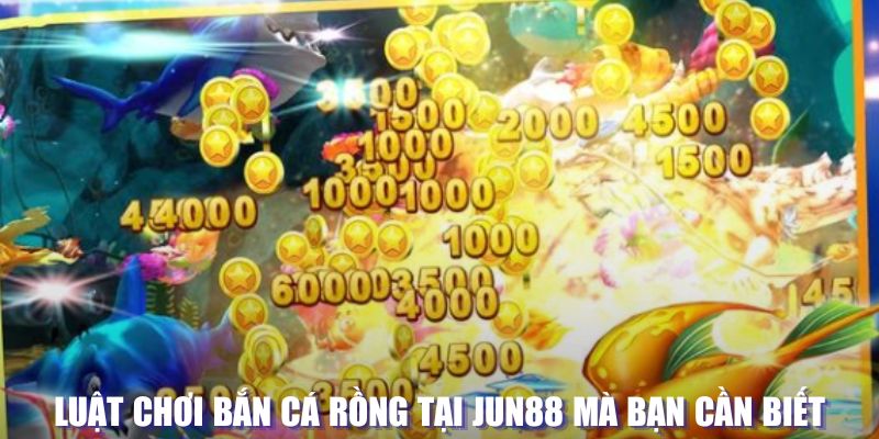 6686 xổ số đài hà nội