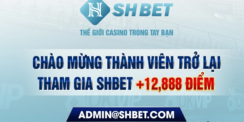 6686 789bet có bao nhiêu sảnh game bài 3d ？