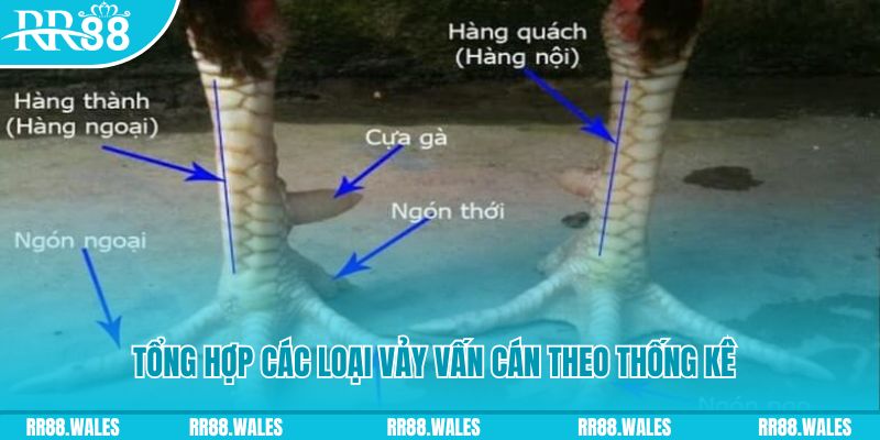 6686 casino hồ tràm có cho người việt vào không