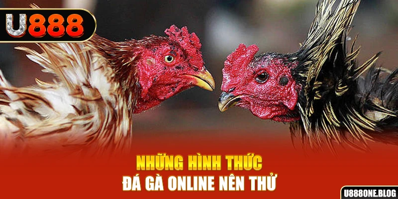 6686 nổ hũ ai là gì