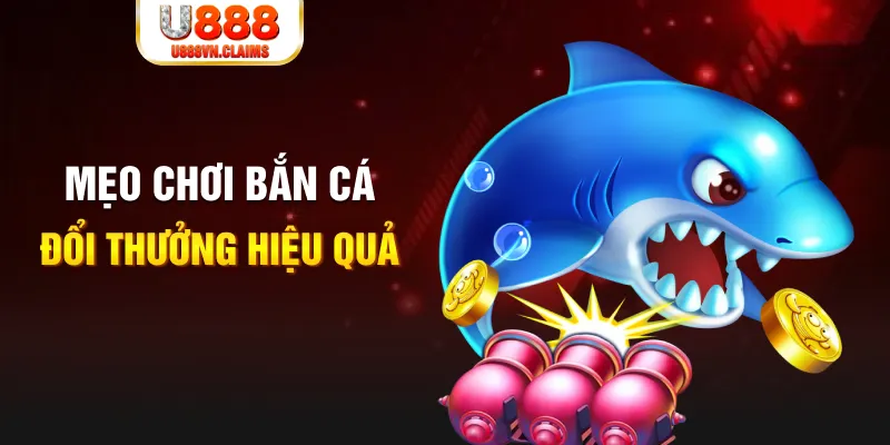 6686 gà chọi cam ranh