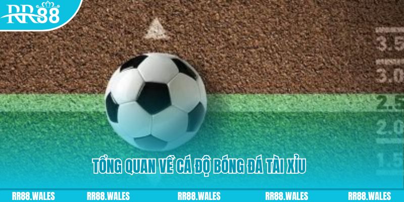 6686 đăng nhập roulette online