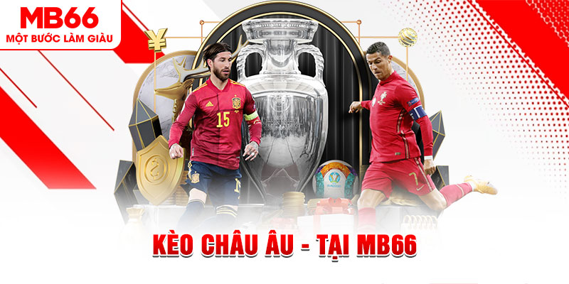 6686 xổ số miền nam chiều nay