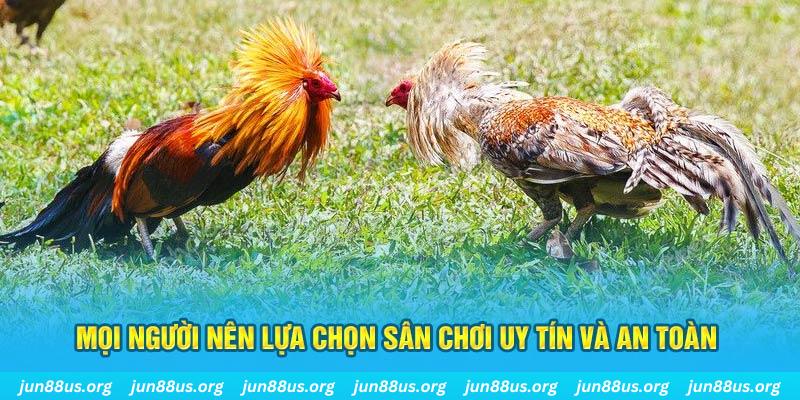 6686 Cỡ bảy