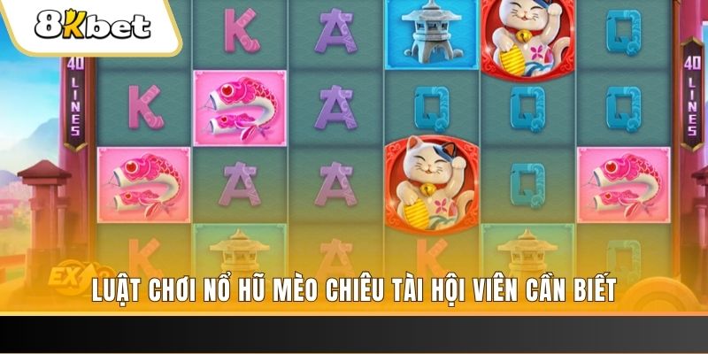 6686 gà chọi cu cần