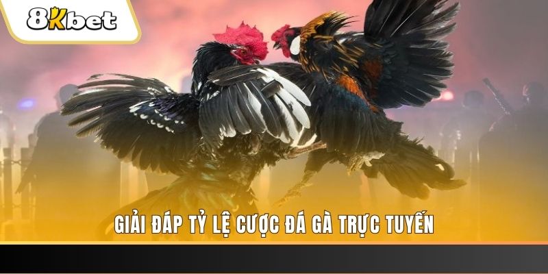 6686 ban ca online