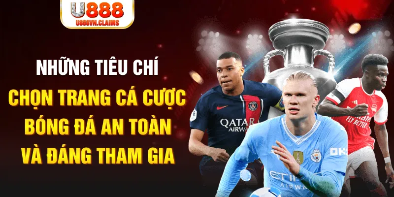 6686 cá cược thể thao là gì