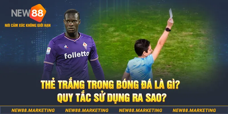 6686 đăng nhập sòng bạc hôm nay