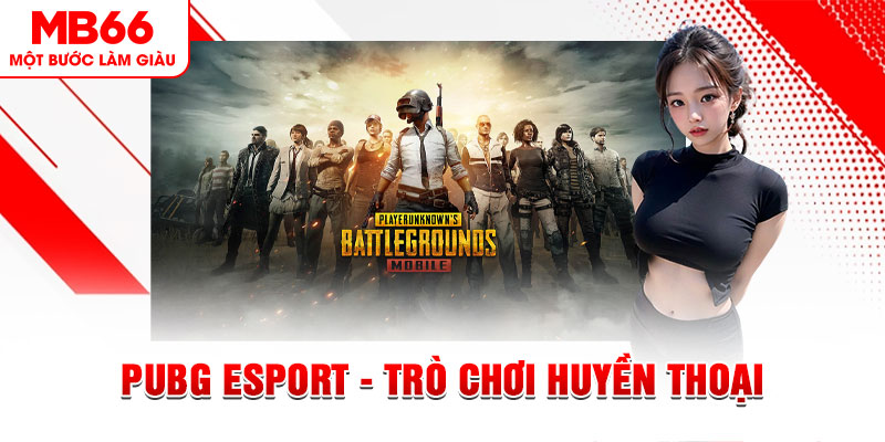 6686 casino online là gì