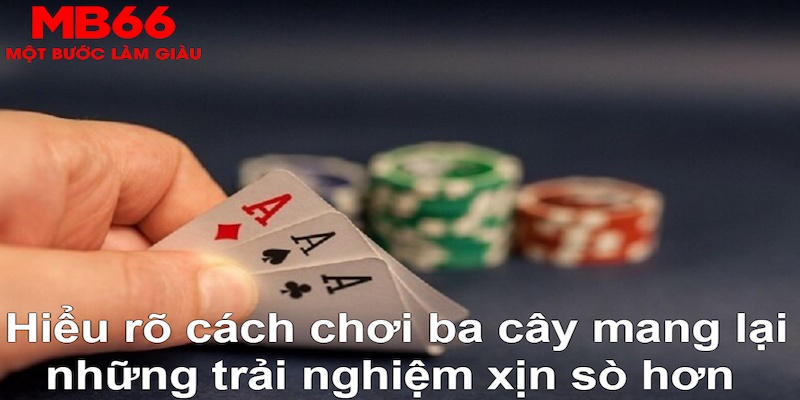 6686 ÁT CHỦ MÁY HOA QUẢ THẦN TÀI
