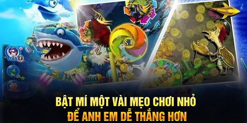 6686 xổ số thứ ba