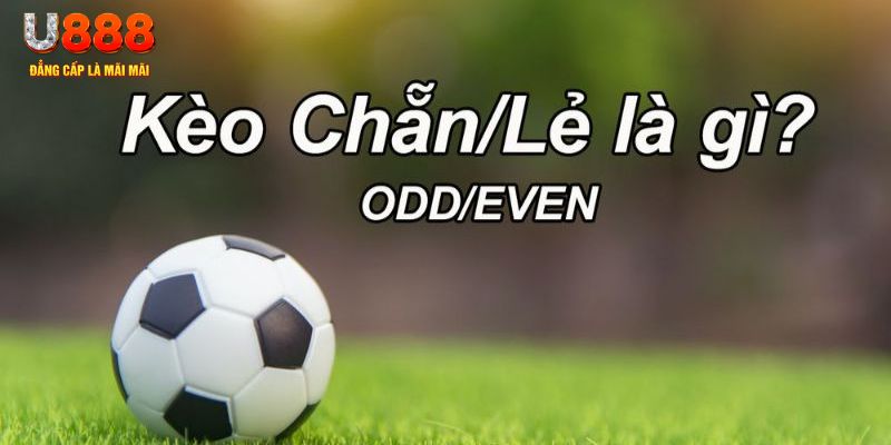 6686 đăng nhập sòng bạc 2024