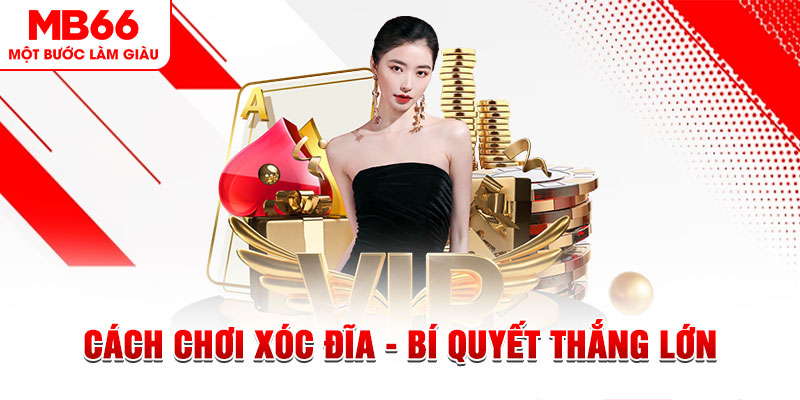 6686 xổ số miền bắc thứ bảy hàng tuần