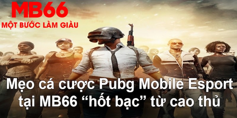6686 đăng nhập poker hàng đầu