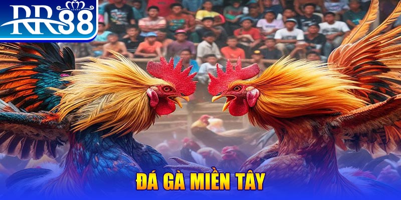 6686 người chia bài trong casino gọi là gì
