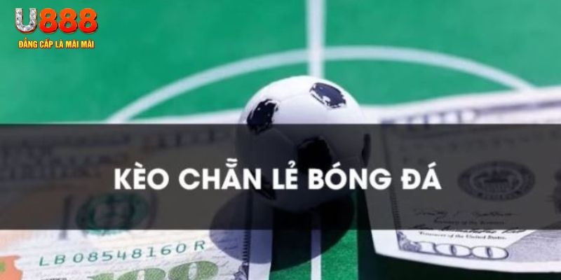 6686 gà chọi c1.tv