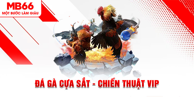 6686 ai tool nổ hũ