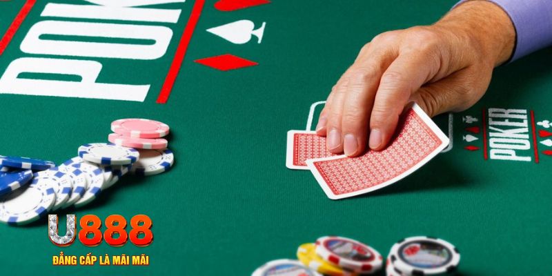 6686 đá gà 88