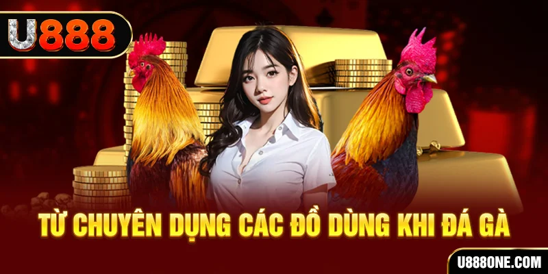 6686 đá gà trực tiếp campuchia