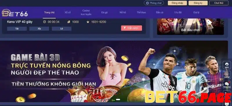 6686 baccarat la gi